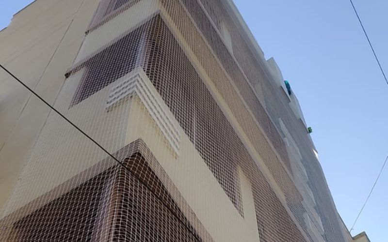 AI & Machine Learning Solutions