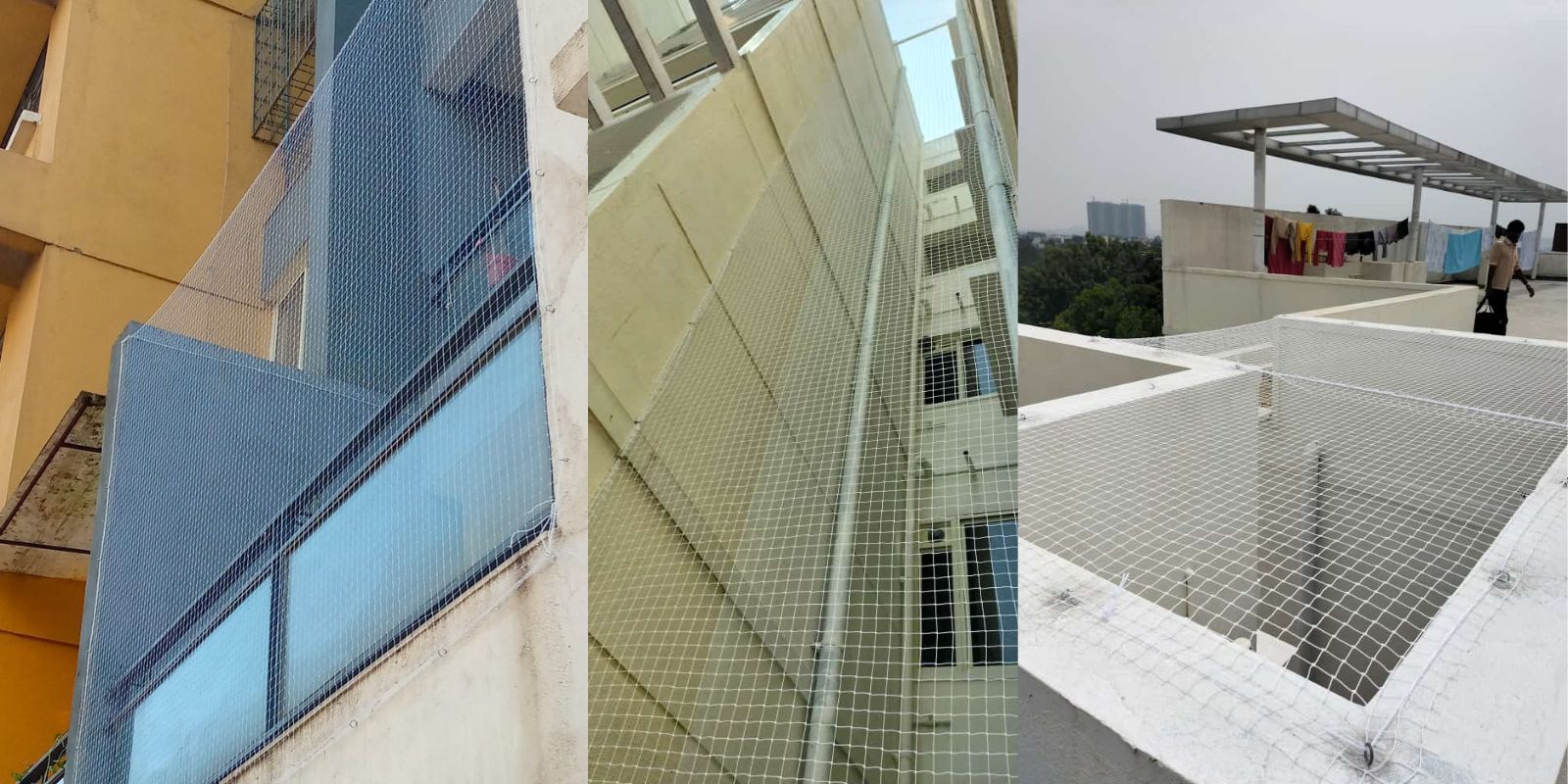 a image of team member in office